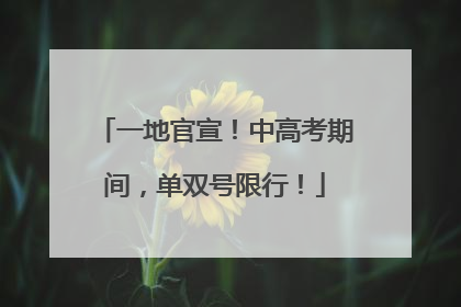 一地官宣！中高考期间，单双号限行！
